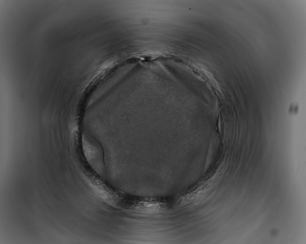 X0000099990260200806201457