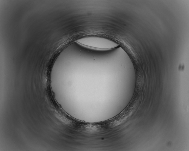 X0000099990261200806201457