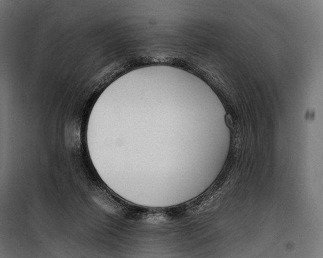 X0000099990262200806201457