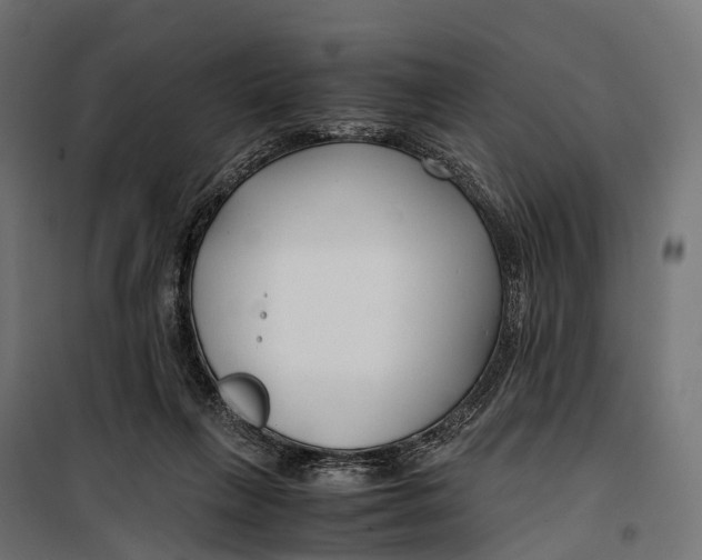 X0000099990263200806201457