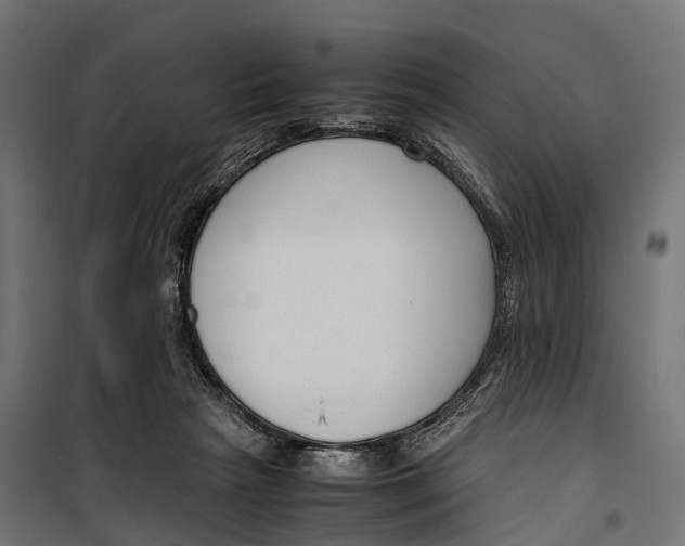 X0000099990265200806201457