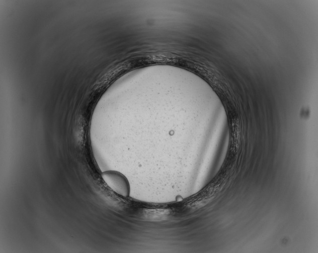 X0000099990266200806201457