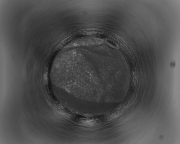 X0000099990267200806201457