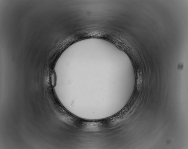 X0000099990268200806201457