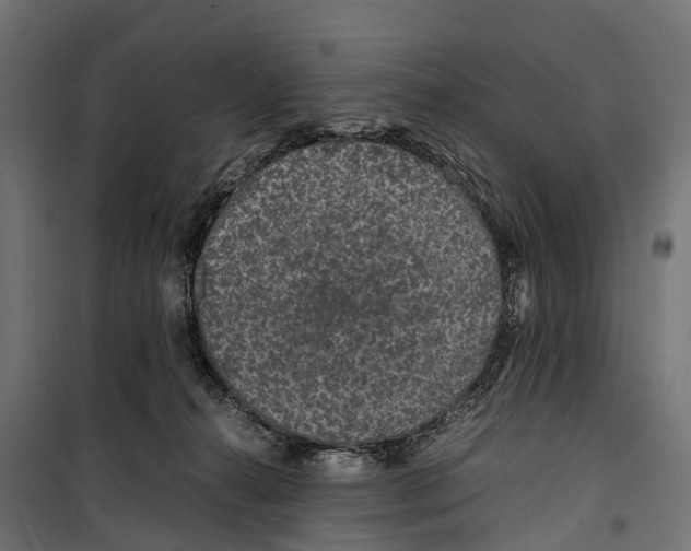 X0000099990272200806201457