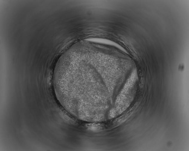 X0000099990273200806201457