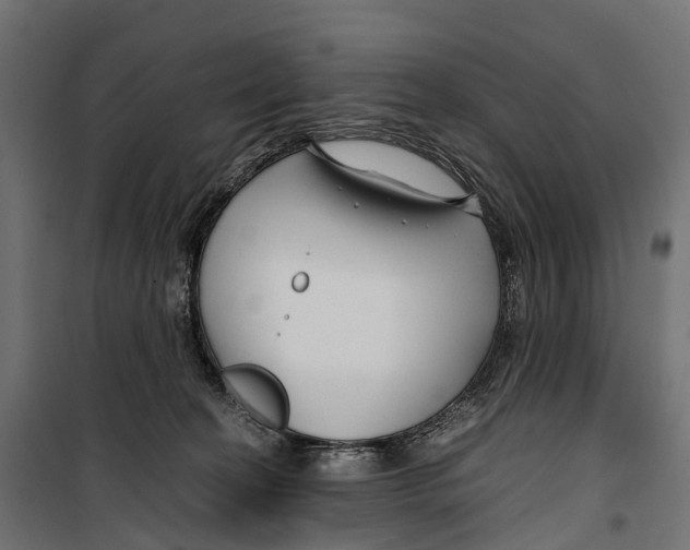 X0000099990274200806201457