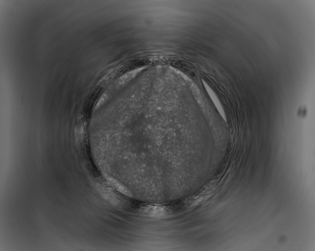 X0000099990276200806201457