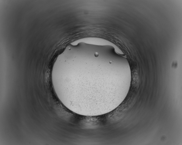 X0000099990278200806201457