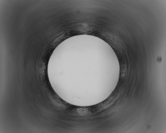 X0000099990279200806201457