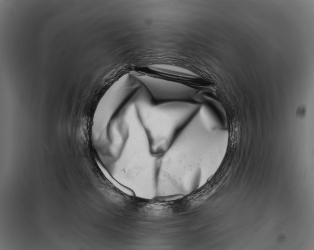 X0000099990280200806201457