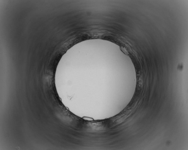 X0000099990283200806201457