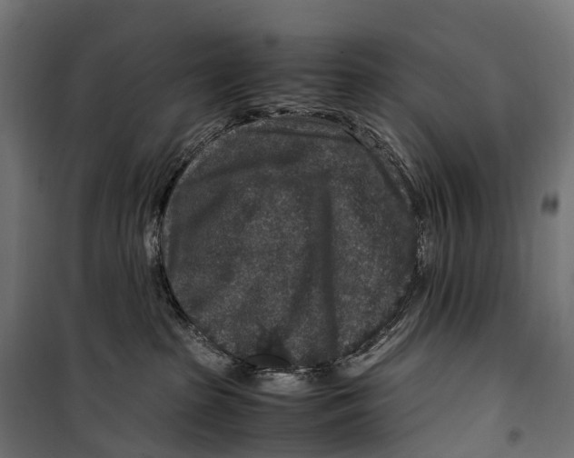 X0000099990285200806201457