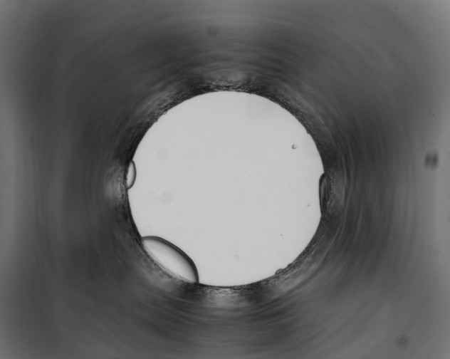 X0000099990287200806201457