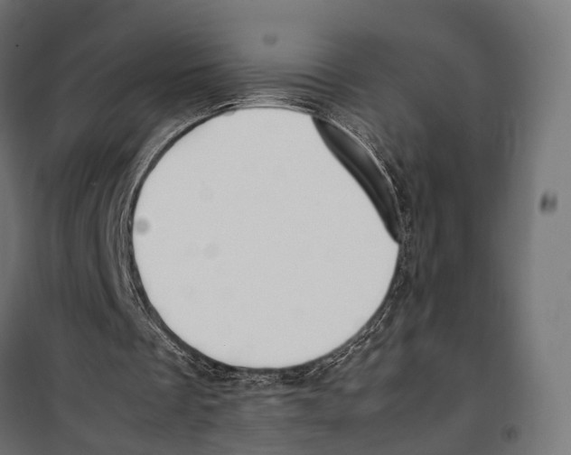 X0000099990289200806201456