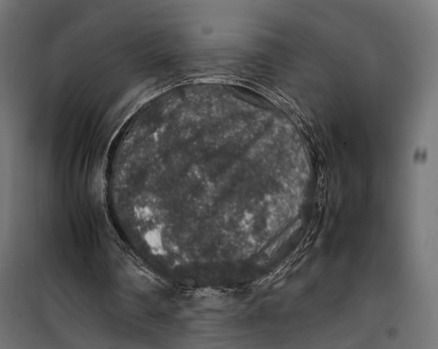 X0000099990290200806201456