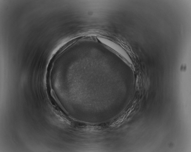 X0000099990292200806201456