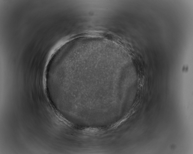 X0000099990294200806201456