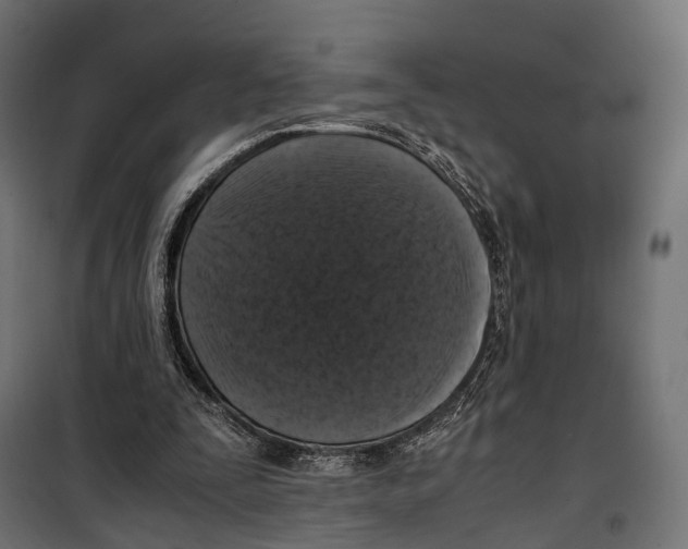 X0000099990295200806201456