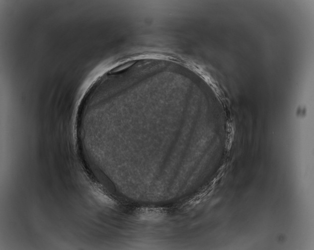 X0000099990296200806201456