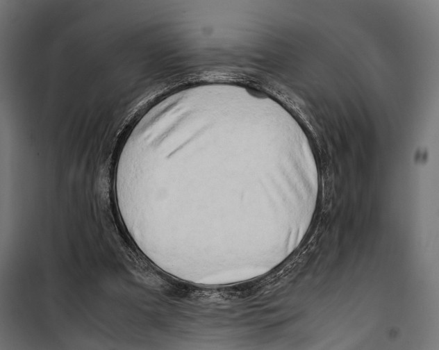 X0000099990297200806201456