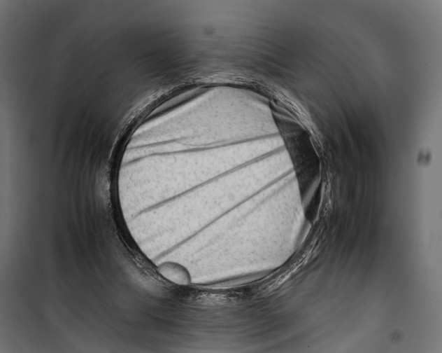 X0000099990298200806201456