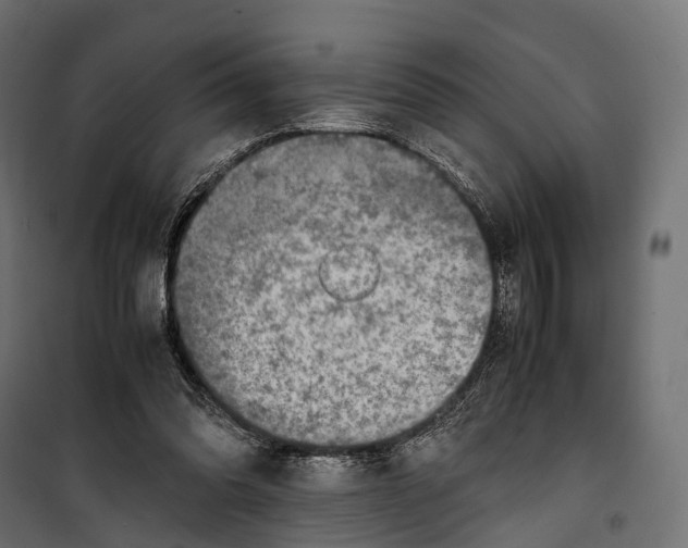 X0000099990302200806201456