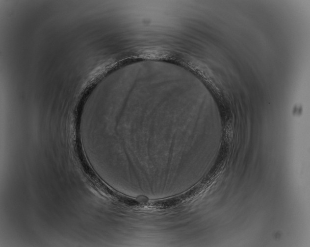 X0000099990303200806201456