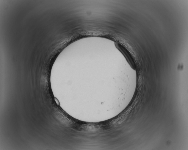 X0000099990305200806201456