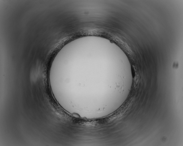 X0000099990306200806201456