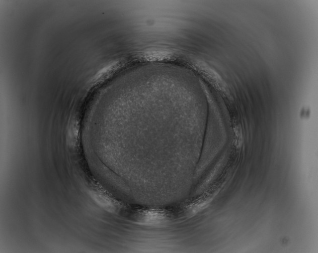 X0000099990308200806201456