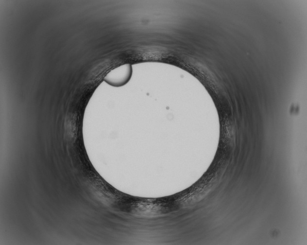 X0000099990311200806201456