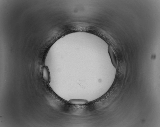 X0000099990313200806201456