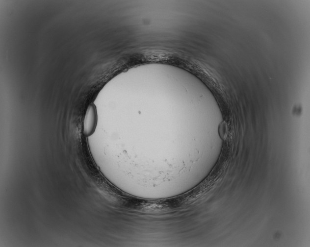 X0000099990315200806201456