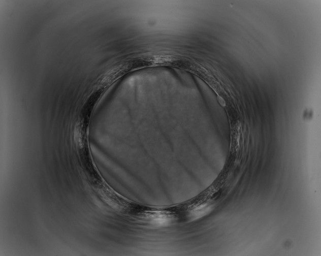 X0000099990316200806201456