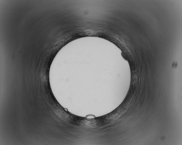 X0000099990317200806201456