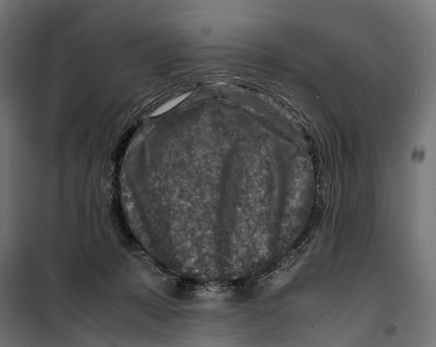 X0000099990319200806201456