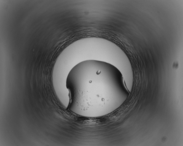 X0000099990320200806201456