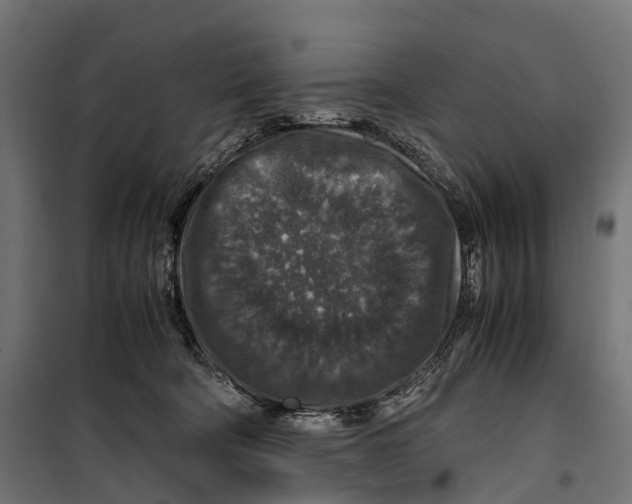 X0000099990322200806201456