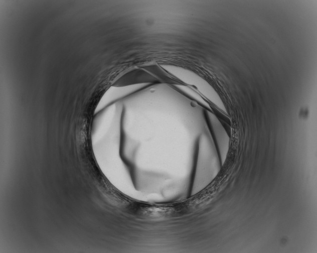 X0000099990323200806201456