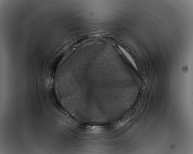 X0000099990324200806201456