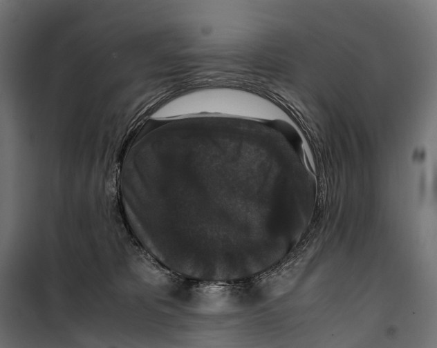 X0000099990325200806201456