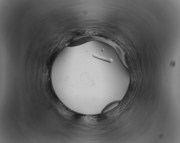 X0000099990327200806201456