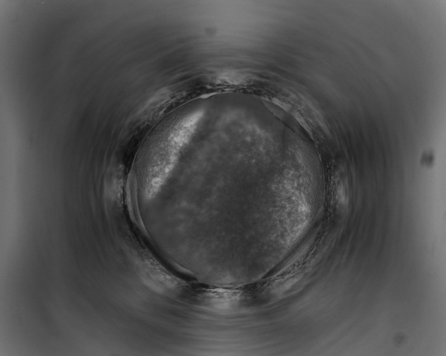 X0000099990328200806201456