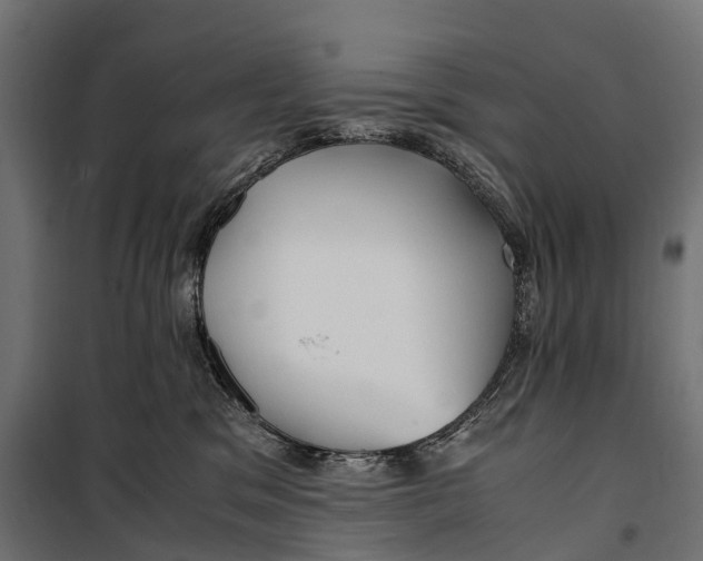 X0000099990329200806201456