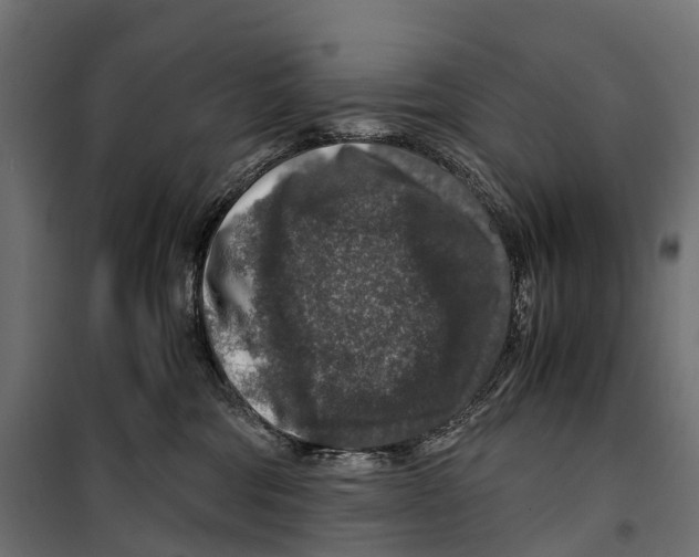 X0000099990330200806201456