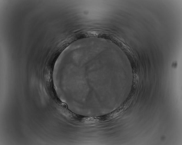 X0000099990331200806201456