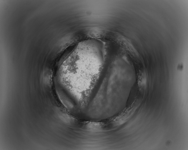 X0000099990332200806201456