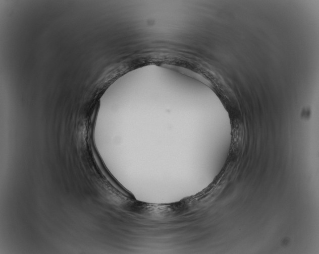 X0000099990333200806201456