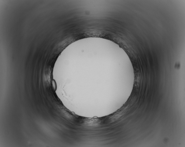 X0000099990334200806201456